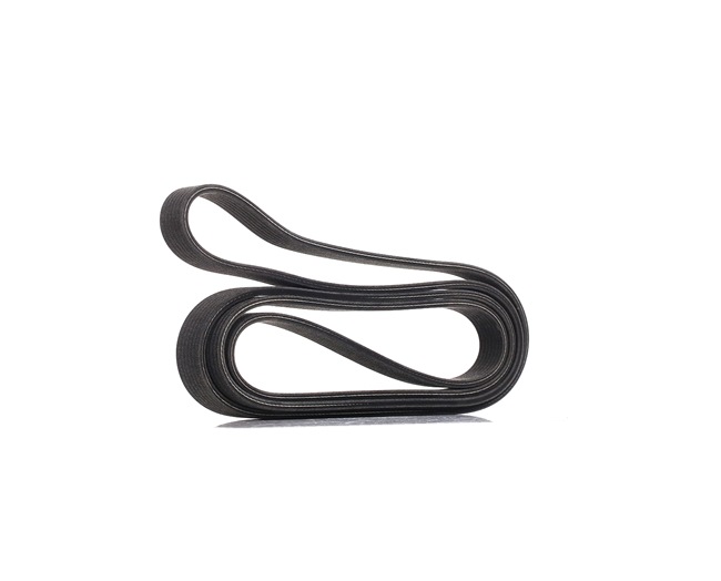 DAYCO 7DPK2569: Soonrihm 2569,0mm, Ribide arv: 7