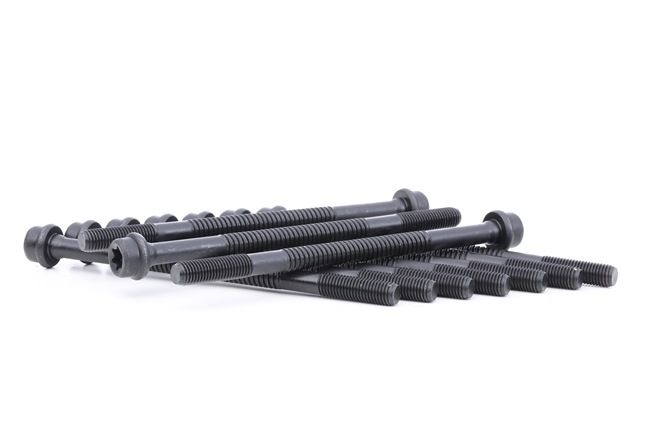 REINZ 14-32079-01: Set surub, chiulasa 176mm, M11