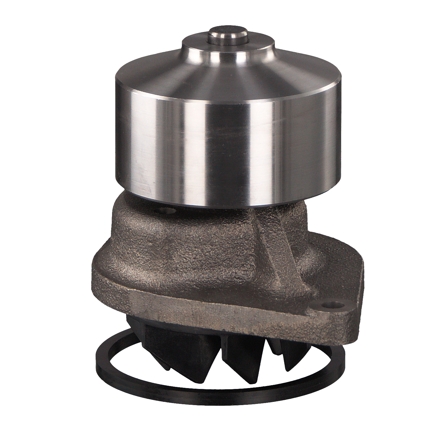 FEBI BILSTEIN 38752: Wasserpumpe mit Dichtring