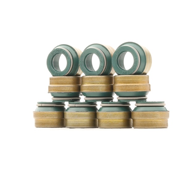 REINZ 12-25837-02 Set garnituri, ax supape VW Transporter 4 (70E, 70L, 70M, 7DE, 7DL) 78 CP motor diesel cat costa