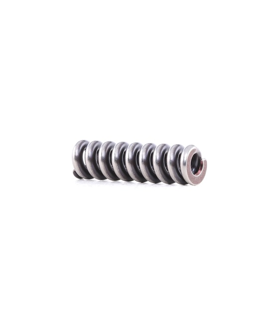 BOSCH 2 434 614 041: Muelle