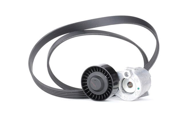 GATES K015PK1200 Kit Cinghie Poly-V RENAULT MODUS / GRAND MODUS (F/JP0_) 112 CV Benzina costo