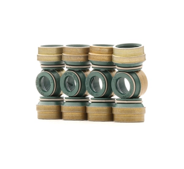 REINZ 12-25837-03: Set garnituri, ax supape