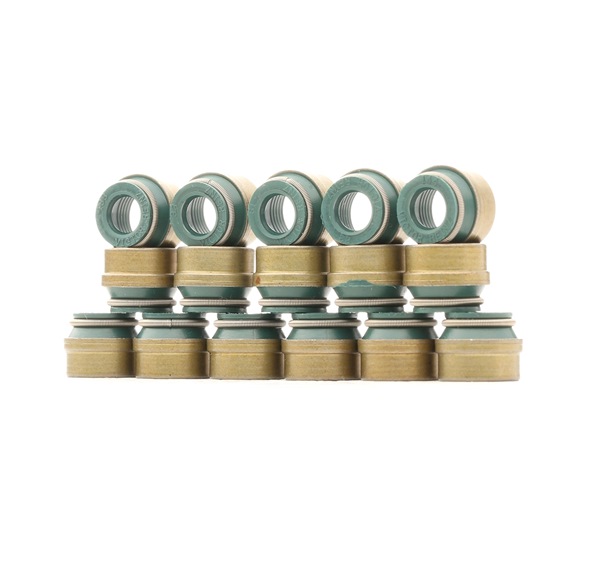 REINZ 12-26058-03: Set garnituri, ax supape