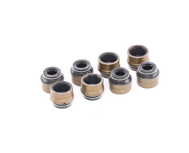 REINZ 12-31306-07 Σετ στεγανοπ., στέλεχος βαλβίδας SEAT Toledo 4 (KG3) 105 PS Βενζίνη κόστος