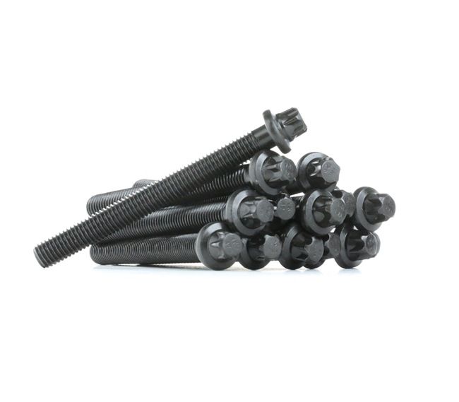 REINZ 14-32002-02: Sada skrutiek hlavy valcov 96mm, M10