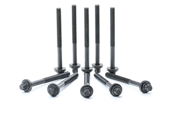 REINZ 14-32004-02: Set surub, chiulasa 141mm, M12