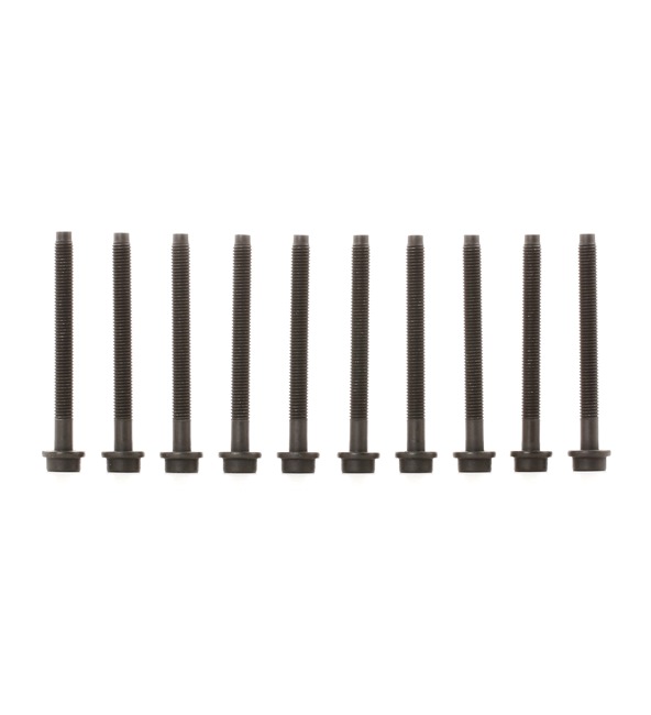 REINZ 14-32018-01: Set surub, chiulasa 102mm, M10