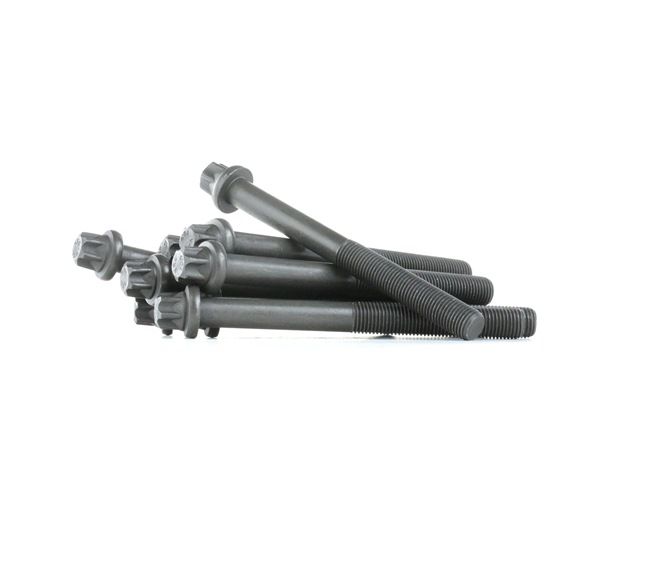 REINZ 14-32040-01: Sada skrutiek hlavy valcov 110mm, M11