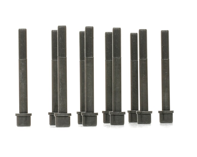 REINZ 14-32159-01: Sada skrutiek hlavy valcov 104mm, M12