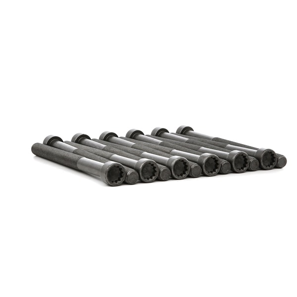 REINZ 14-32190-01: Sada skrutiek hlavy valcov 150mm, M12