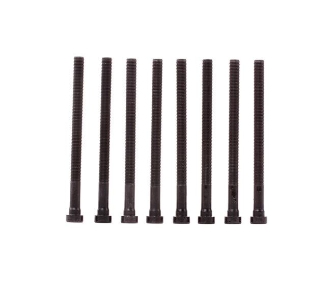 REINZ 14-32196-01: Cilinderkopbouten 160mm, M12