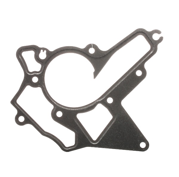 REINZ 70-36276-00: Pakking, waterpomp