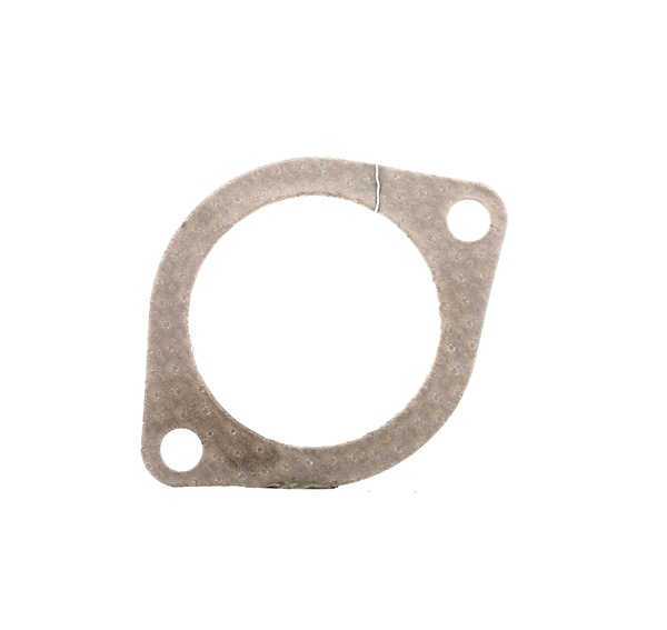 REINZ 71-38304-00: Garnitura, Carcasa galerie admisie