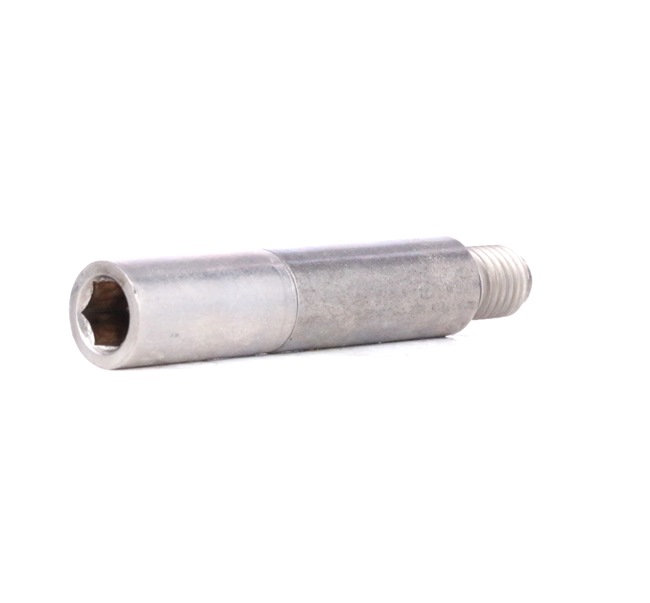 ATE 11.8171-0067.1 Perno pinza freno VOLKSWAGEN California T5 Bus (7EC, 7EF, 7EG, 7HF) 84 CV Diesel costo