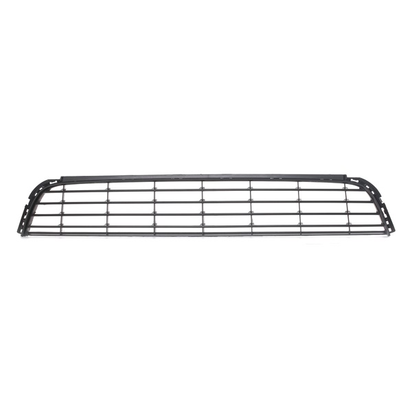 BLIC 6502-07-9534995P: Grila ventilatie, bara protectie fata, centru