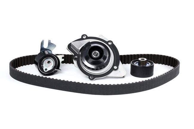 SKF VKMC 03205: Kit de distribution + pompe à eau Nbr. dents: 116, avec joints
