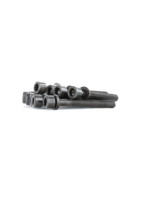 PAYEN HBS043: Set surub, chiulasa 95mm, M11 x 1.5