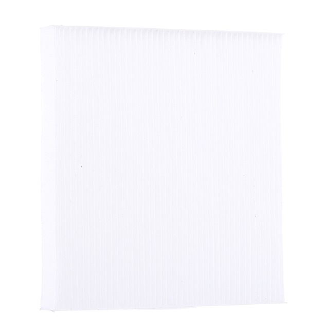 NIPPARTS N1343022: Filtru, aer habitaclu Filtru de particule
