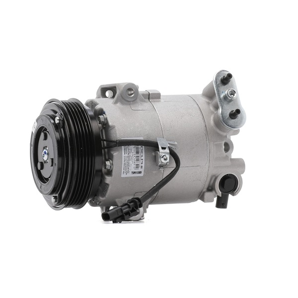 DELPHI TSP0155989: Aircopomp Met PAG compressorolie