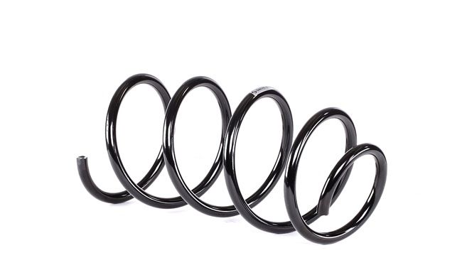 SACHS 993 255: Chassisveer