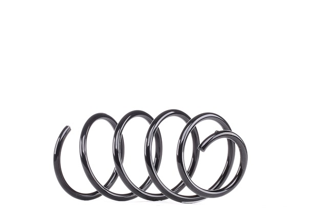 SACHS 993 256: Arc spiral