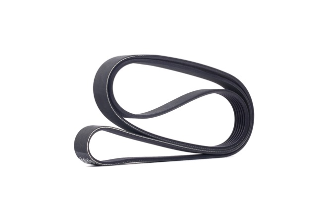 SNR CA6PK1705: Multiriem 1705mm, Ribbenaantal: 6
