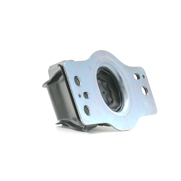 DELPHI TEM042: Supporto motore Dx