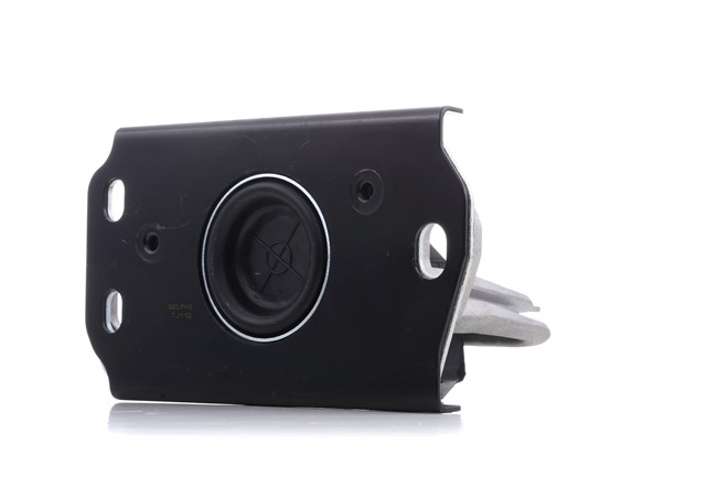 DELPHI TEM043: Supporto motore Dx