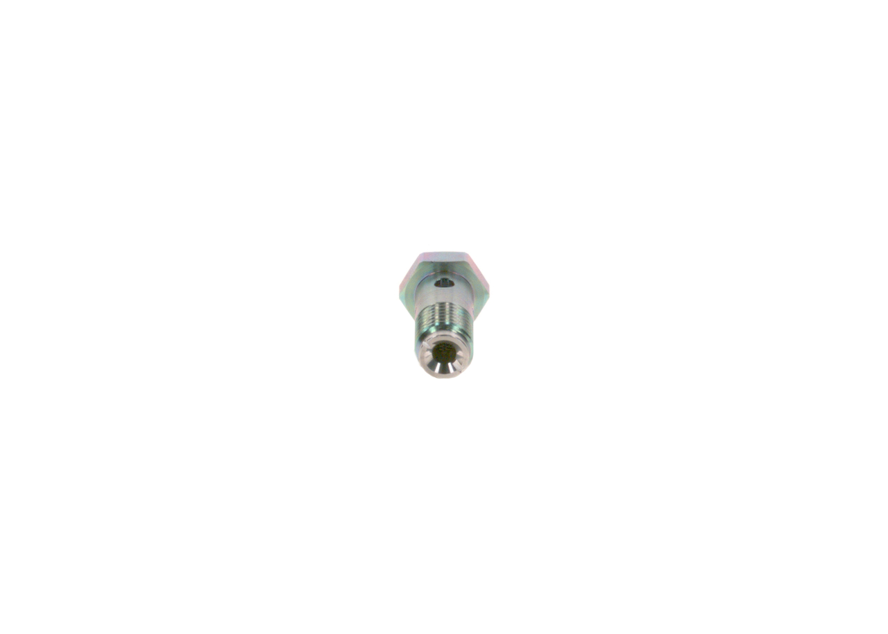 BOSCH 2 443 456 900: Tornillo