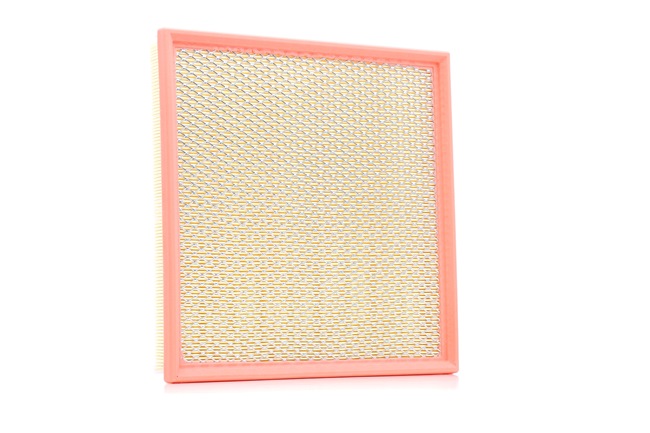 NIPPARTS N1320915: Filtre à air