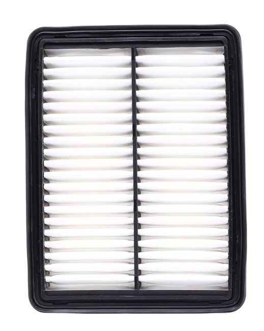 NIPPARTS N1323069: Filtro aria