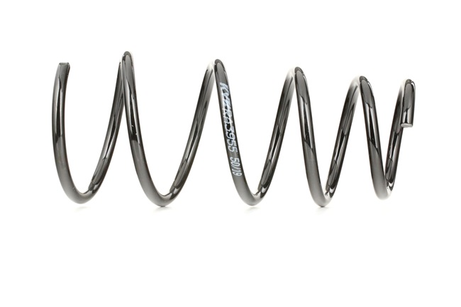 KYB RA3955: Arc spiral punte fata K-Flex