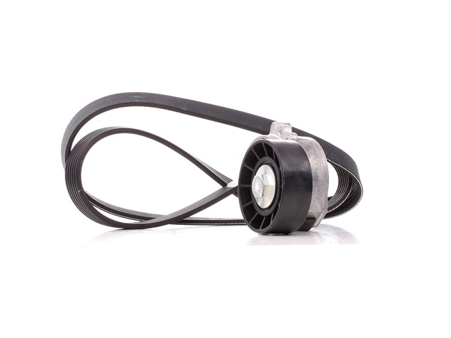 DAYCO KPV179: Set curea transmisie cu caneluri