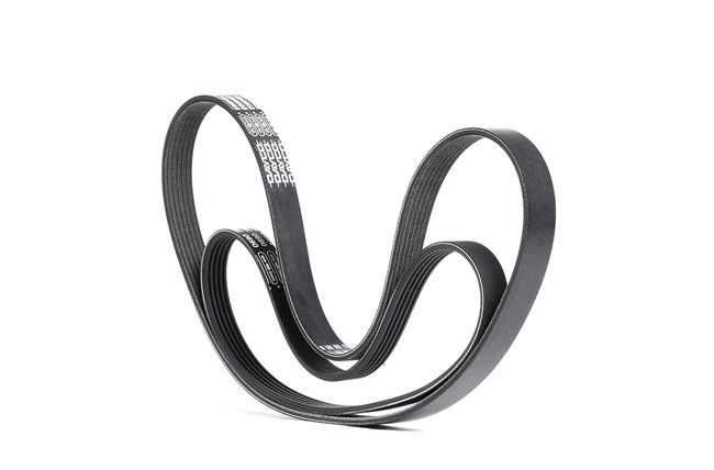 DAYCO PVE003: Poly V-riem set