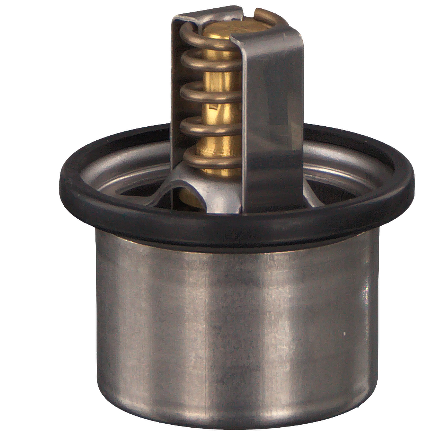FEBI BILSTEIN 30672: Termostatas, aušinimo skystis 79°C, su sandarikliu