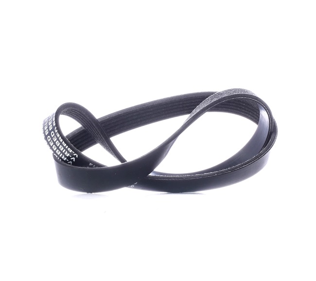 STARK SK-6PK1033: Multiriem 1033mm, Ribbenaantal: 6