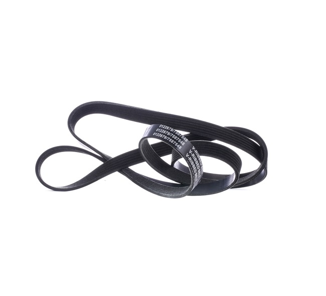 STARK SK-6PK2255 Correa trapecial poli V JEEP GRAND CHEROKEE 2 (WJ, WG) 227 cv Gasolina costo