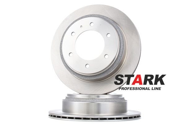 STARK SKBD-0020198: Disc de frână puntea spate, Ř: 313mm, ventilat, Fonta, Ř: 313mm, netratat, fara suruburi