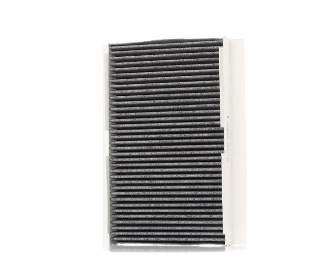 STARK SKIF-0170019 Innenraumfilter Aktivkohlefilter, Filtereinsatz, Schwebstofffilter (HEPA)