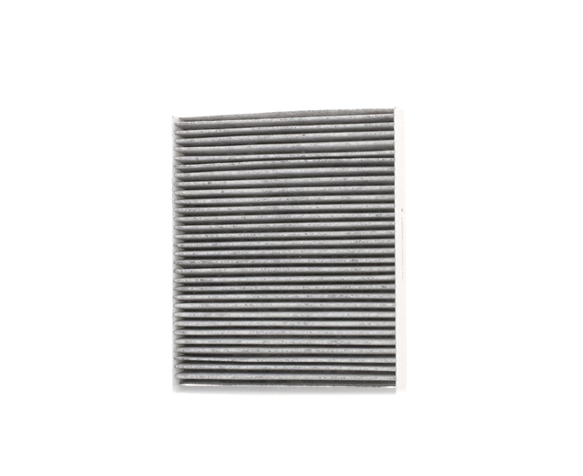 STARK SKIF-0170005: Filtrs, Salona telpas gaiss Aktivētās ogles filtrs, Suspendēto vielu filtrs (HEPA)