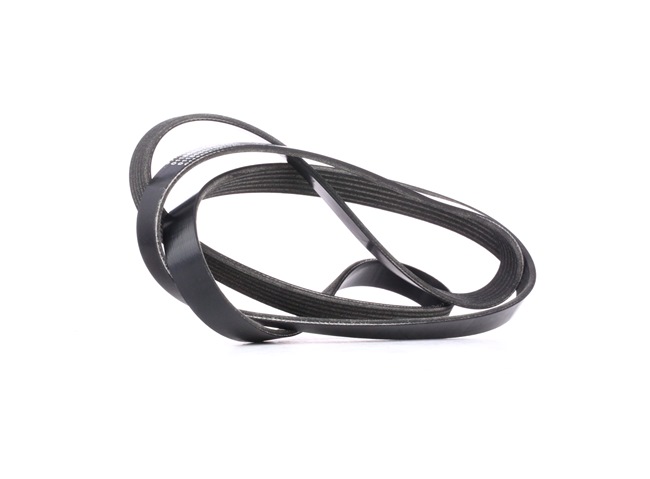 STARK SK-6PK2050: Correa trapecial poli V 2050mm, Número de nervaduras: 6