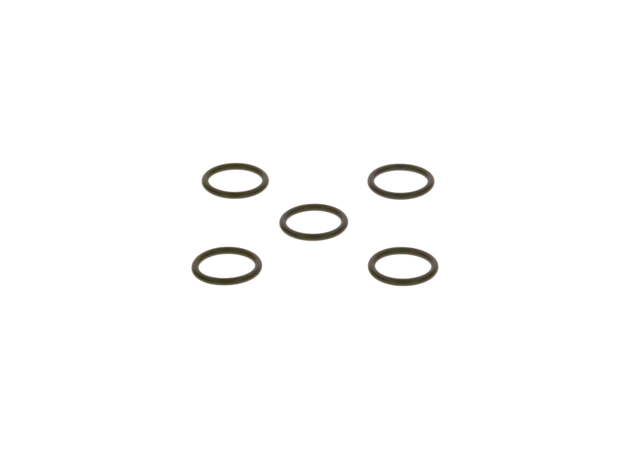 BOSCH 2 440 210 019: Dichtring