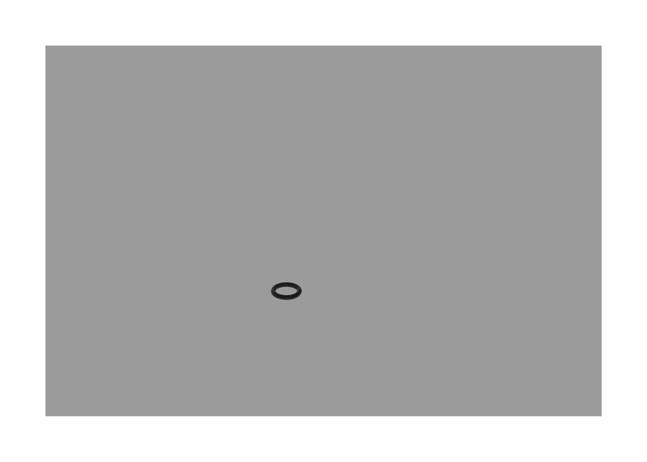 BOSCH F 00N 200 072: Dichtring