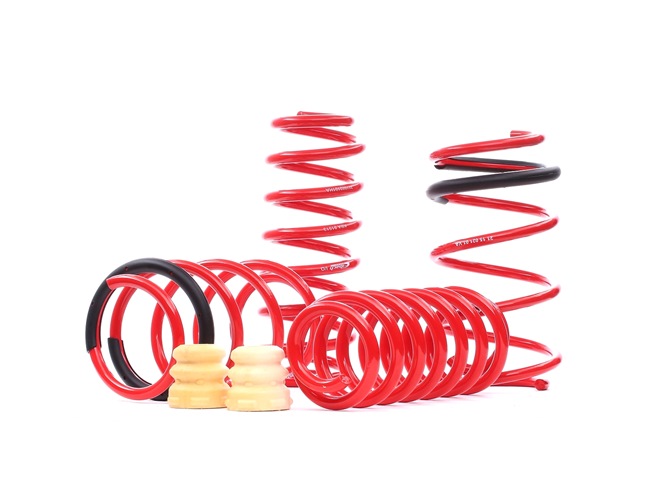 EIBACH Sportline E20-15-021-01-22 Fahrwerksatz, Federn SEAT Leon SC (5F5) 115 PS Benzin Kosten