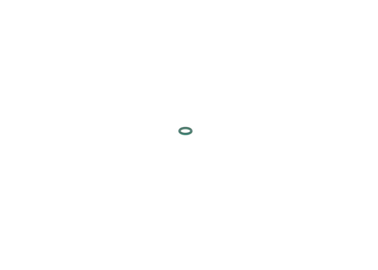 BOSCH 2 440 210 002: Dichtring