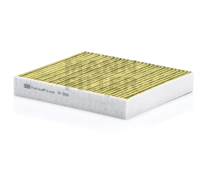 MANN-FILTER FP 2559 Salono filtras FORD C-MAX (DM2) 125 AG benzinas / etanolis kaina