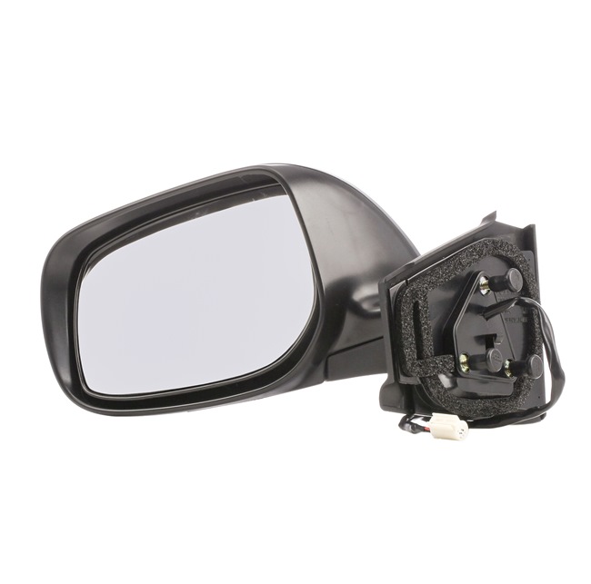 VAN WEZEL 5432805: Rétroviseur extérieur * HAGUS * gauche