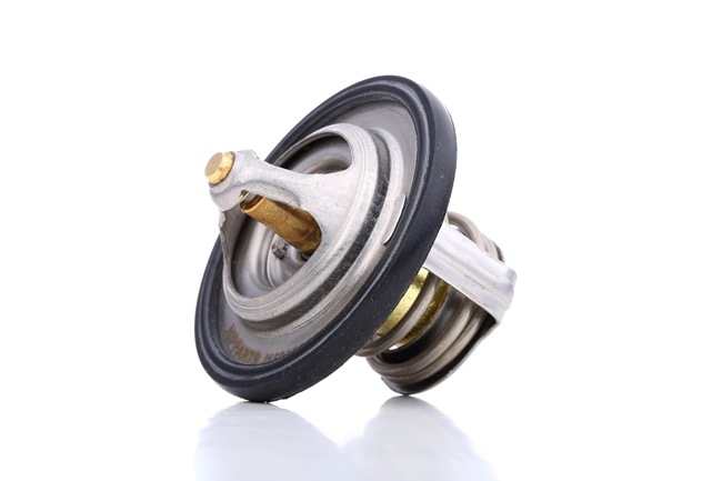 NIPPARTS J1538004: Termostat, lichid racire 82°C, cu etansare