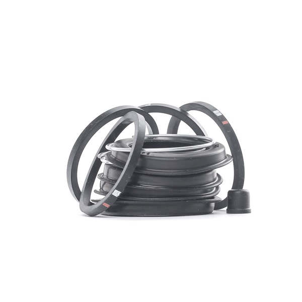 AUTOFREN SEINSA D4062: Set reparatie, etrier